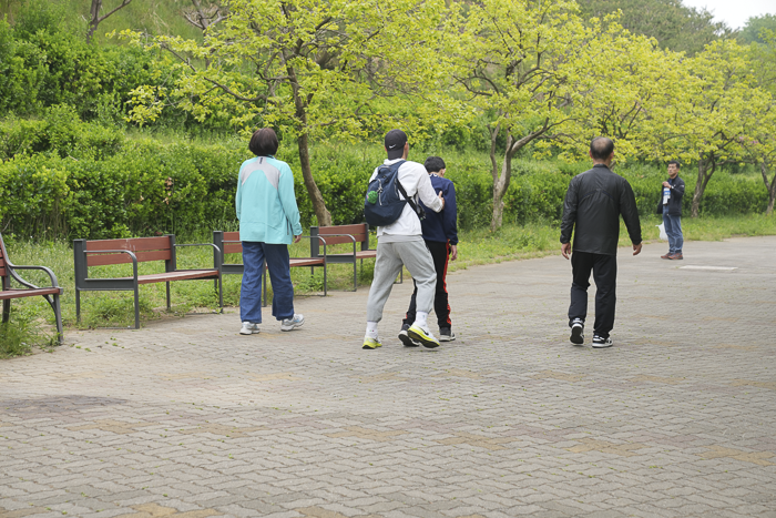DSC05600.png