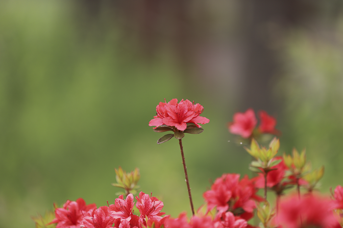 IMG_4438.png