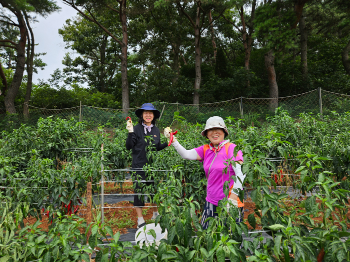 KakaoTalk_20250806_125129183_10.jpg