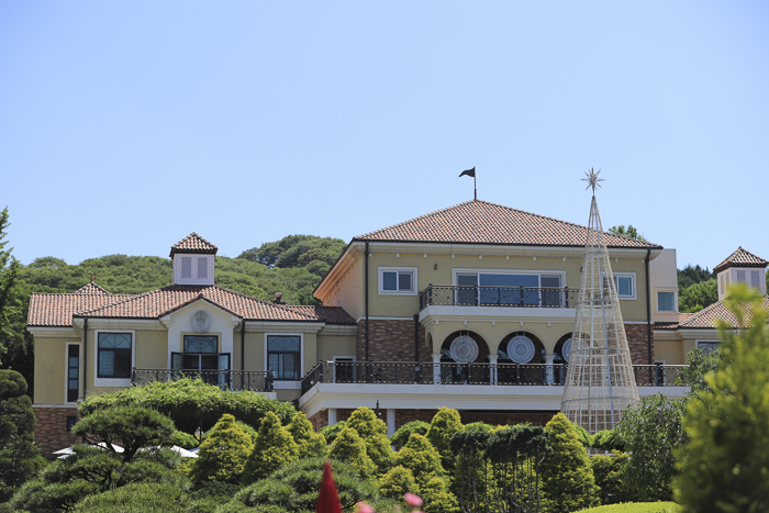 IMG_6043.png