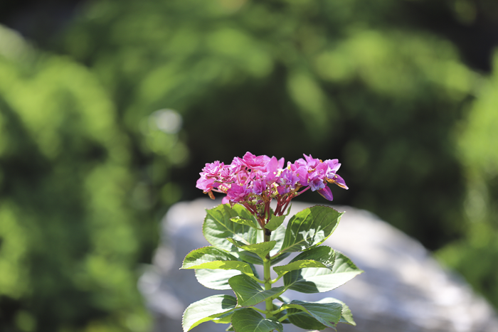 IMG_6048.png