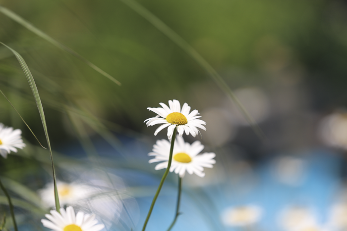 IMG_5997.png