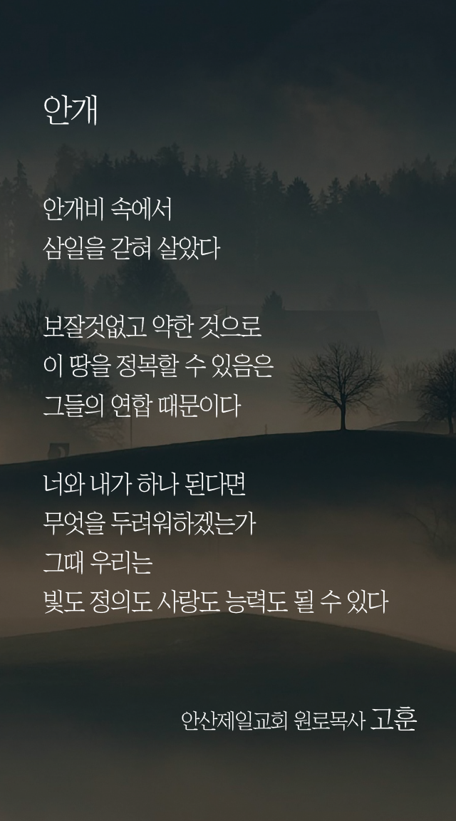 (20230604)안개.png