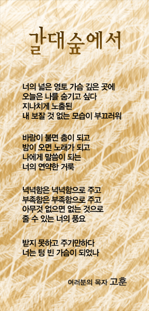 (20131203)갈대숲에서.jpg