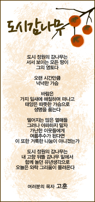 (20140727)도시감나무.jpg