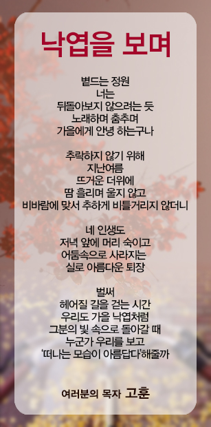 (20141102)낙엽을 보며.jpg