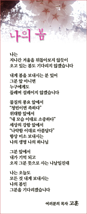 (20150308)나의 봄.jpg