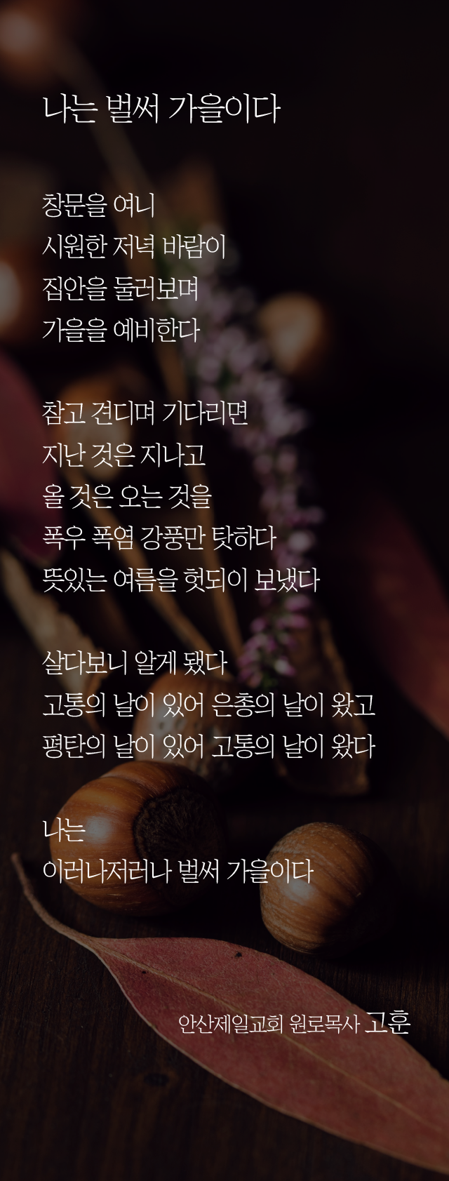 (20230820)나는 벌써 가을이다.png