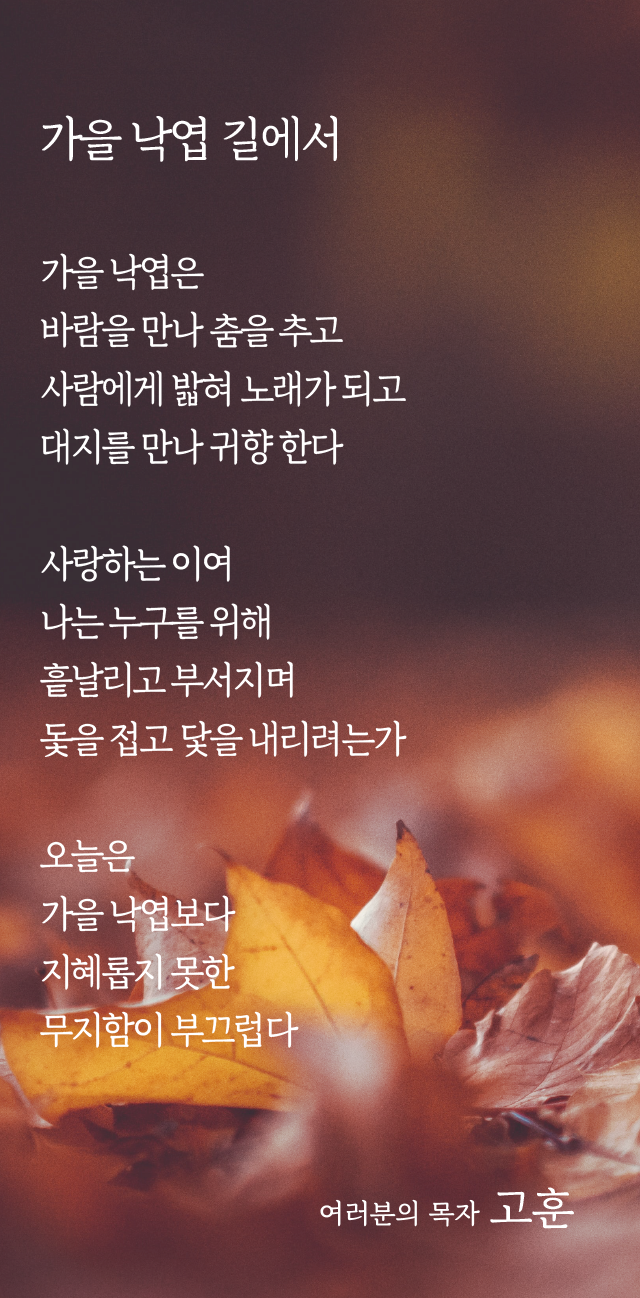 (20201122)가을낙엽 길에서-01.png