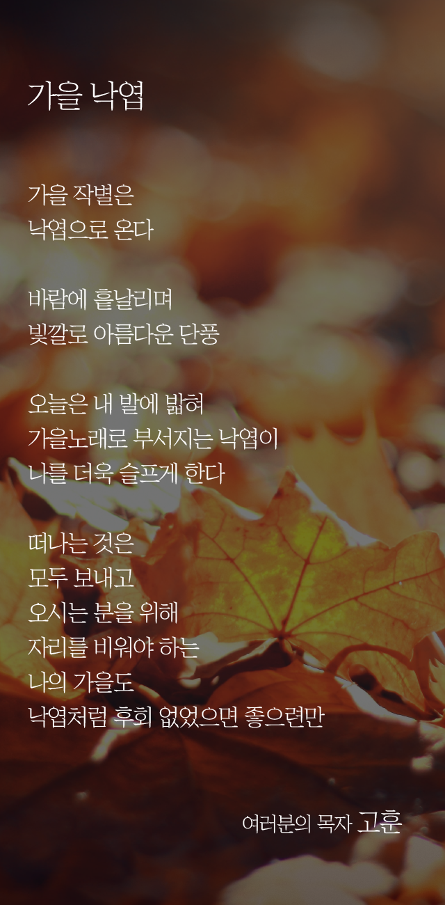 (202111114)가을낙엽-01.png