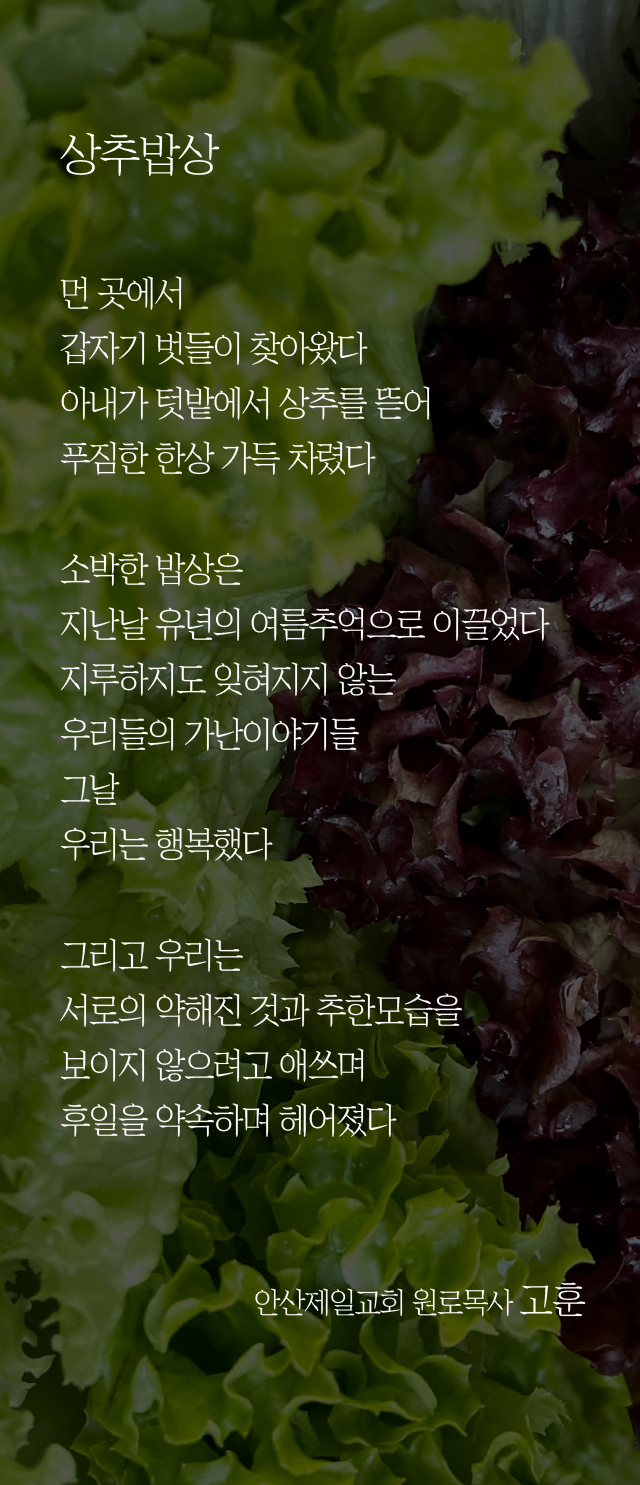 (20230702)상추밥상.png