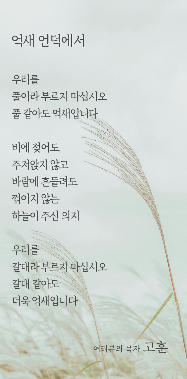 (20201018)억새언덕에서-01.png