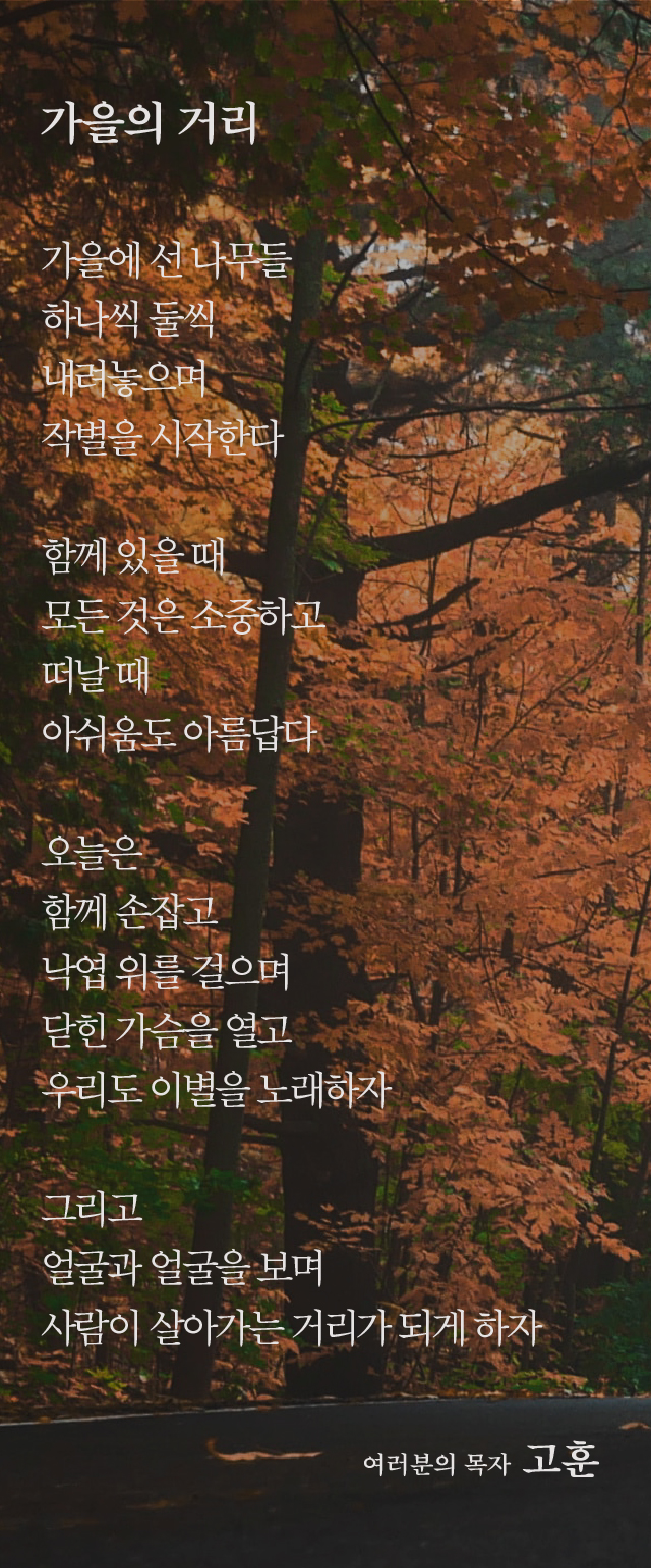 (20191013)가을의 거리-01.jpg