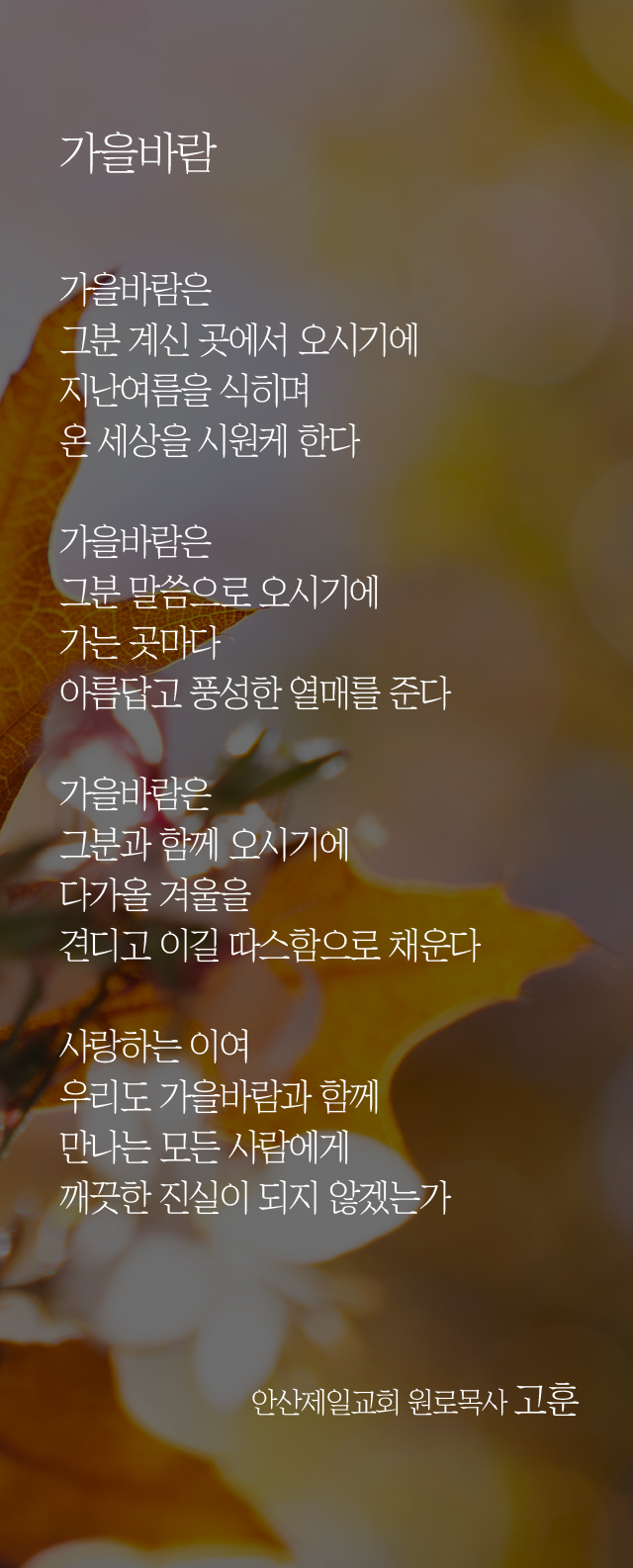 (20231008)가을바람.png