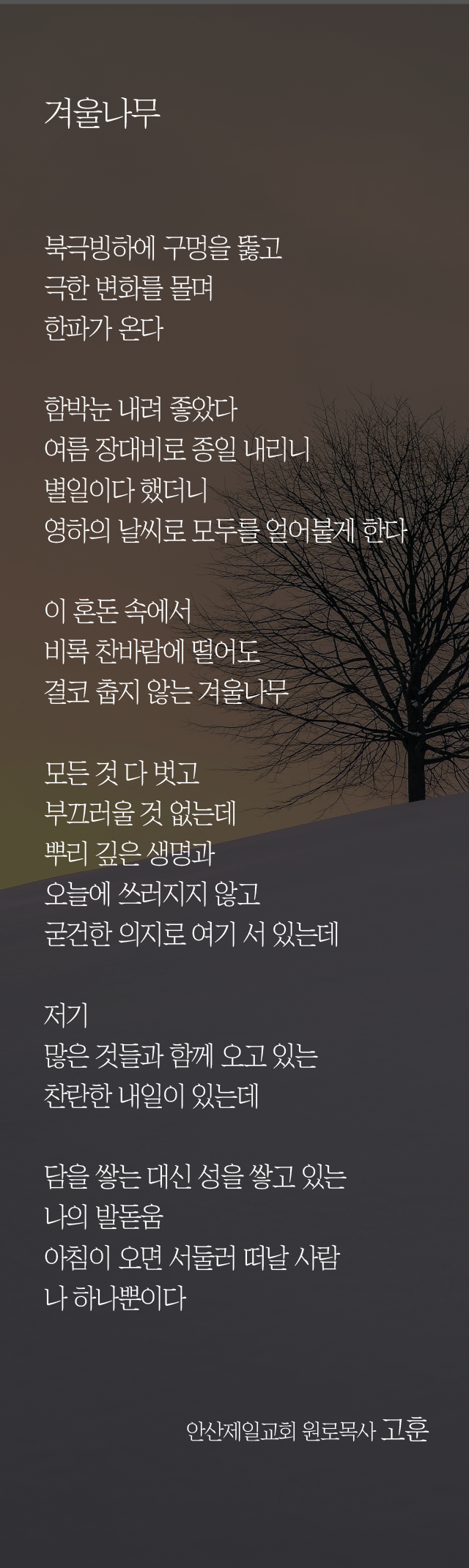 (20240121)겨울나무-01.png