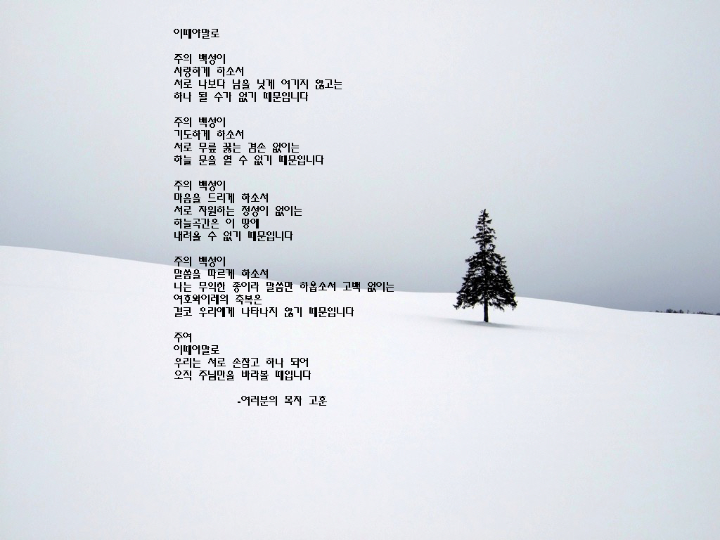 영예시xmastree_hokkaidomilk.jpg