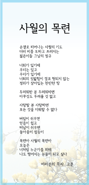 사월의목련1.jpg