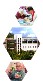 안산시립노인전문요양원 활동사진